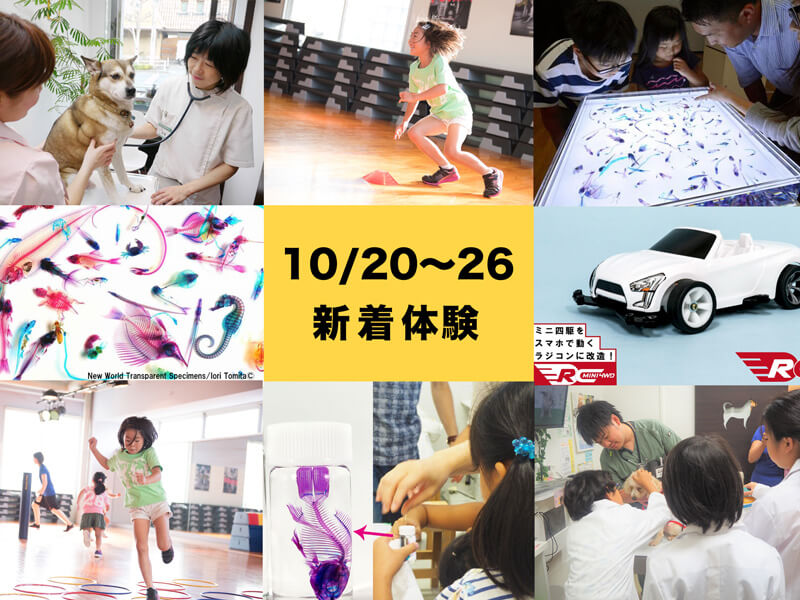 今週の新着体験（10/20〜26）