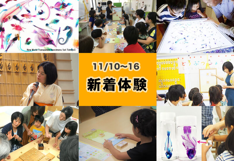 今週の新着体験(11/10～11/16)