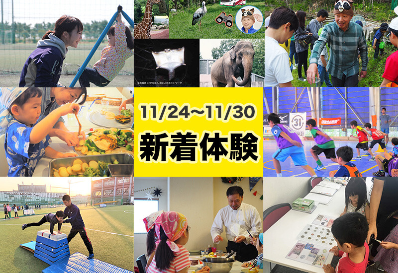 今週の新着体験(11/24～11/30)