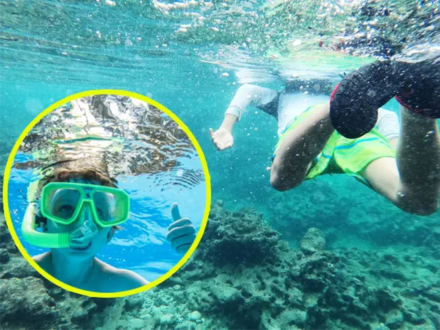 川に潜って水中世界を満喫！清流でシュノーケリング体験